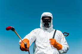 Real Estate Pest Inspections in Lincoln Park, NY